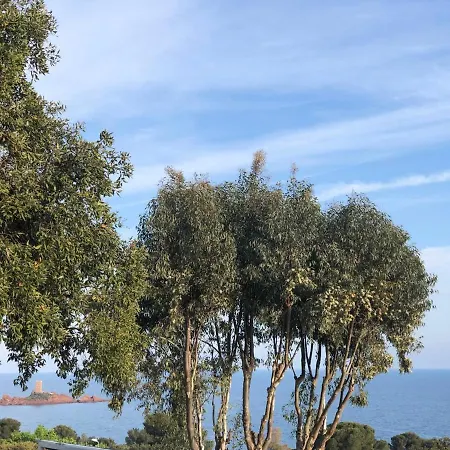 Mobil Superbe Vue St Raphael Kemping Saint-Raphaël